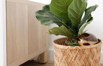 La Cochera Casa Emblemática en Santa Cruz de Tenerife - Foto 20