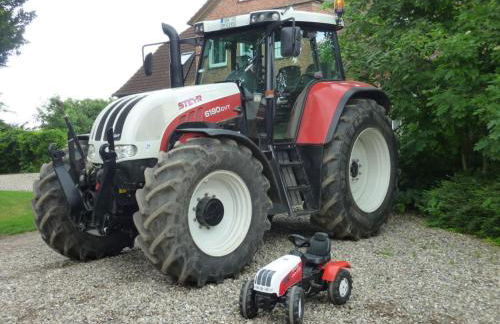 Farm Ferienhof Albert - Foto 24