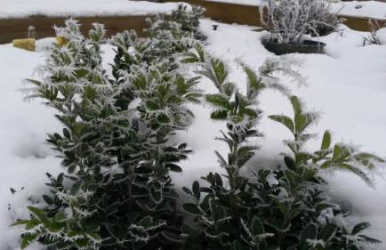 Ferienwohnung Wroblewsky - Foto 33