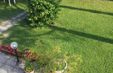 Casa Le Palme giardino - Photo 16