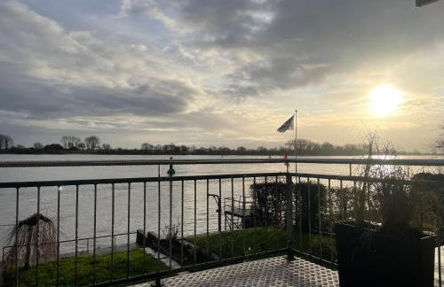 Sonnenschein - Foto 67