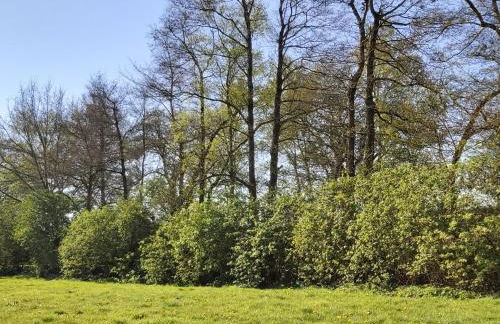 Landhaus SiebenEichen - Foto 33