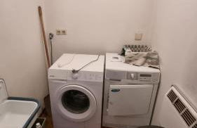 Vogelnescht19 - Foto 19