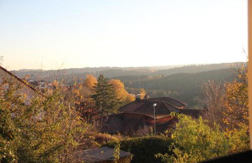 Schwarzwald-Oase für bis zu 10 Personen - Foto 52
