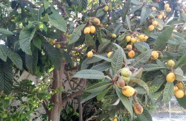 Magdalini Studio - Foto 39