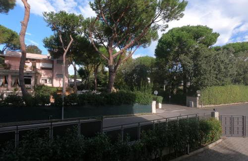 Michelangelo rta - Foto 23