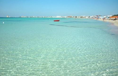 Torreblu Residence - Foto 92