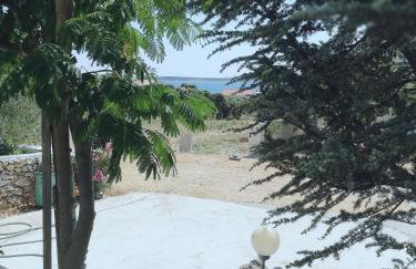 Lavender House - Photo 46