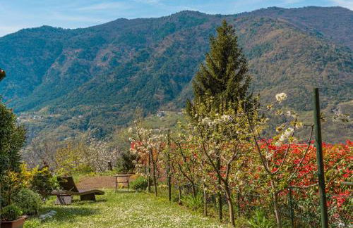 Casa Giacomo - Wunderschönes Landhaus am Gardasee-Tremosine - Foto 17