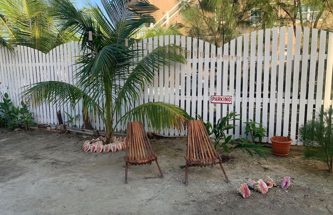 The Lily Pad II - Foto 23