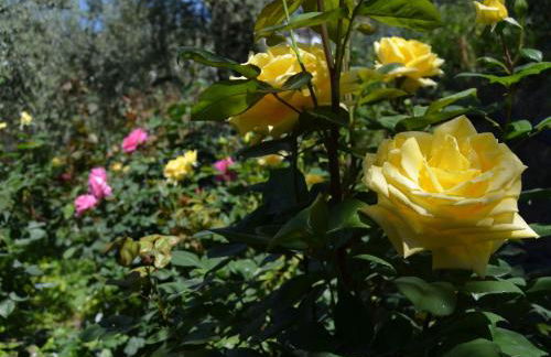 Holiday Home Gemütliches Haus mit toller Aussicht by Interhome - Foto 34