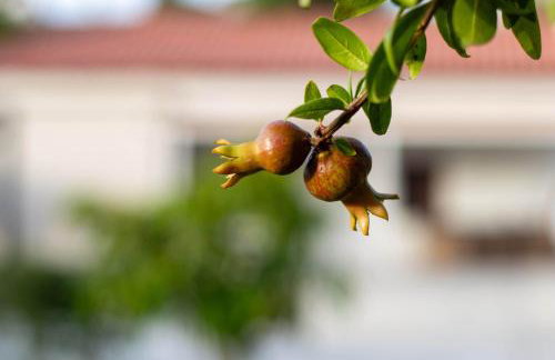 Villa Anasa Residence - Foto 11