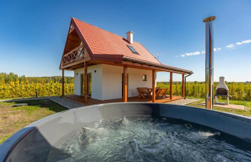 Wichrowe Wzgórze Chill House Jabłonowo - Foto 1