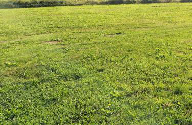 Zeleni raj - Foto 31