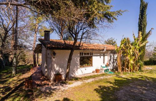 Granducato di Monteballante - Foto 31