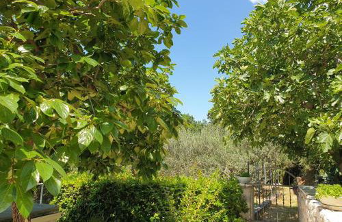 IDIS Holiday Home - Foto 24