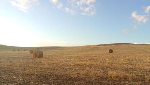 Podere Stabbiatelli - Foto 4