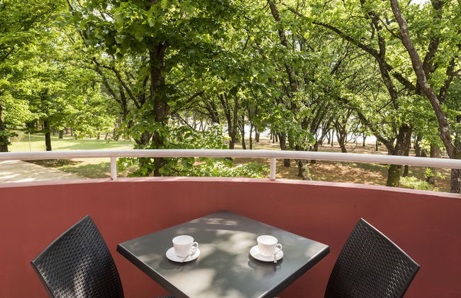 Apartments Amfora Plava Laguna - Foto 51