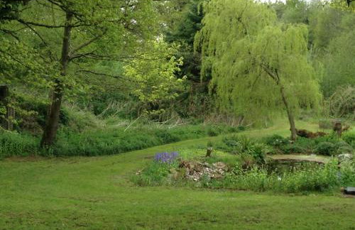 Bird House - Sleep with the Owls! - Foto 16