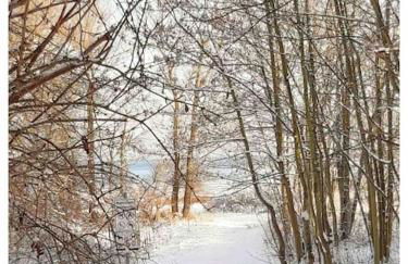 Villa Wencke - eure Auszeit am Meer in Wohlenberg - Foto 28