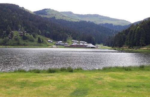 La Cabane du Cerf à Payolle - Foto 16