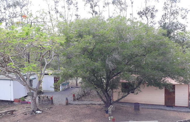 La Petite Ferme - Foto 2