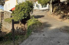 Casa do Pássaro - Photo 71