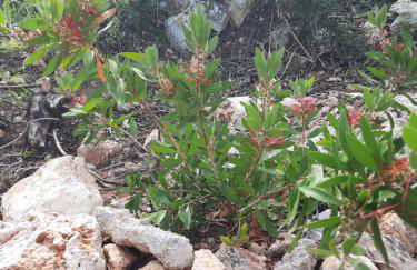 GAUDIR LA MAR - Casa en Tossal Gros La Font d'en Carros - Foto 40