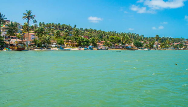 Barra do Cunhau Trip - Foto 3