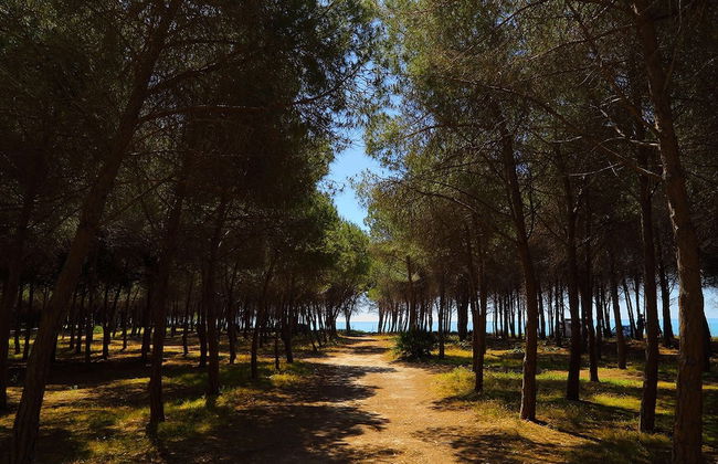 Eraclea Minoa Village - Foto 33