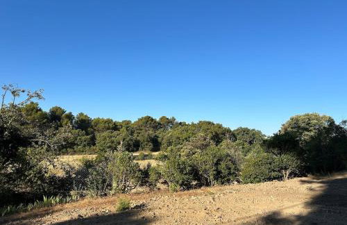 Bastidon provençal entièrement rénové et climatisé - Foto 8