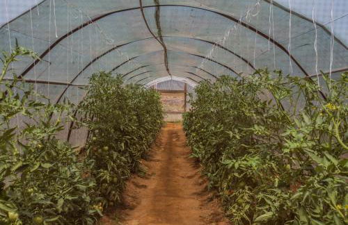 Ambelakia Studios - Foto 13