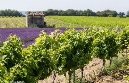 La Piscine - Foto 20
