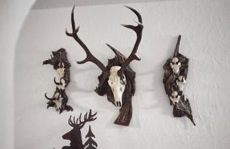 Apartments Knappenhof Pfitsch - with Swimming Pool - Foto 19