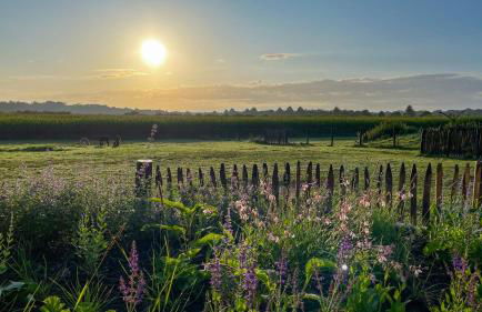 Ferienwohnung Alpakablick - inklusive Alpaka Meet & Greet an bestimmten Terminen - Foto 22