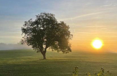 Ferienwohnung Gruberhof - Foto 30