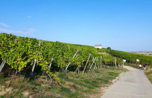 Maison de charme à Wangen avec piscine privée et jardin - Foto 21