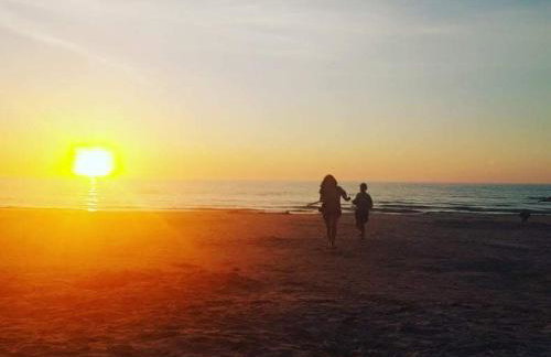 Zielony Domek z jacuzzi - Foto 44