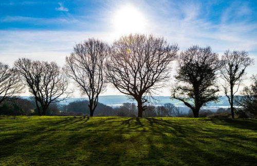 The Piggery, a perfect country hideaway - Photo 27