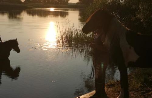 Ferienwohnung Czampiel - Photo 15