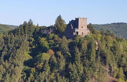 Ferienwohnung Sternenwald - Foto 38