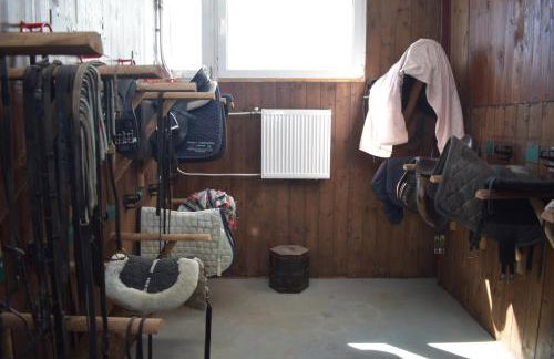 Idylle auf dem Reiterhof bei Husum - Foto 20