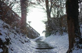 FeWo JoJo - Bergblick - Foto 23