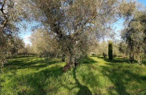 Shanti - Mare, Lago di Bolsena, Terme di Vulci - Foto 21