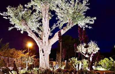 BAIA DELLE AGAVI - Foto 14