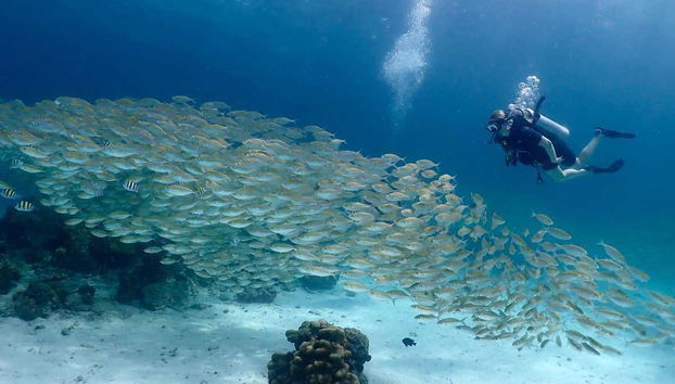 ¡Una experiencia inolvidable!