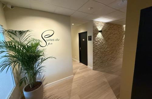 Suite du Spa 2 - Parking Privé Gratuit - Foto 16