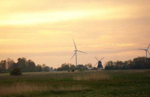 Zum Eulennest - Foto 28