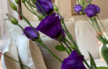 Wunderschönes Terrassen-Appartement - Foto 8