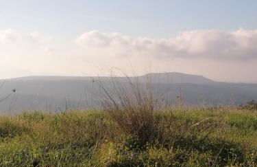 Maria's cottage house - Photo 29